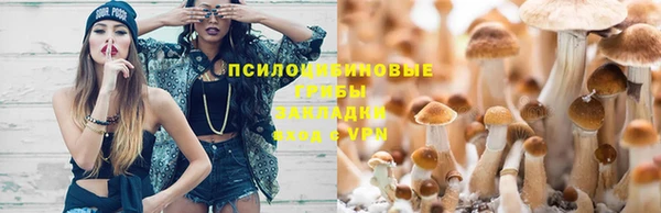 синтетический гашиш Алексин