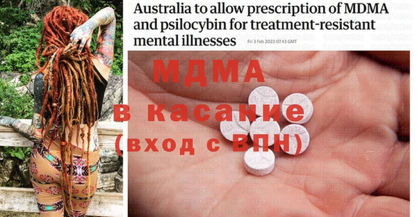 PSILOCYBIN Алзамай