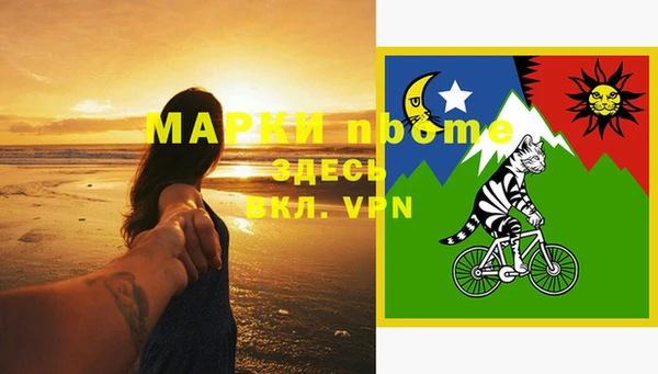 PSILOCYBIN Алзамай