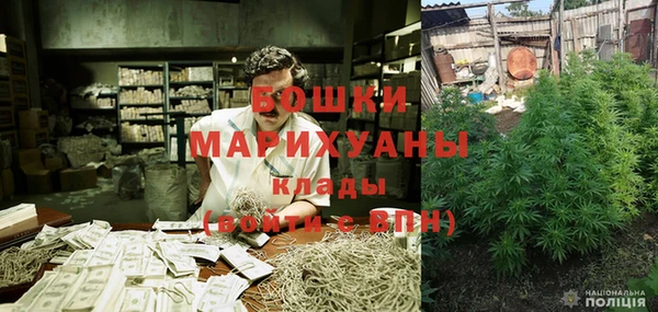 PSILOCYBIN Алзамай